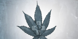 Marijuana Use in Illinois