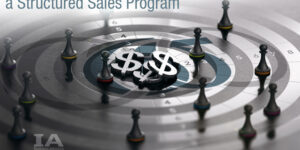 structured sales program consulting