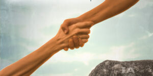 Servant leadership in business consulting