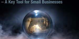 Operating budget consulting